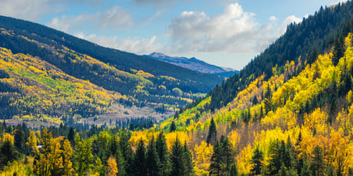 The Sebastian Vail Andiamo Collection Vail Colorado