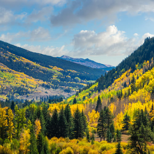 The Sebastian Vail Andiamo Collection Vail Colorado