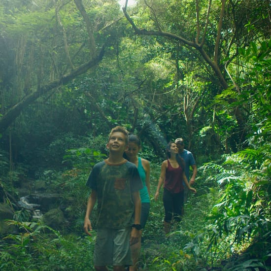 Youth Walking Through Wooded Area